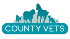 County Vets